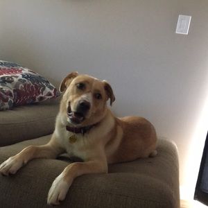 Meet your Posher, Kathy